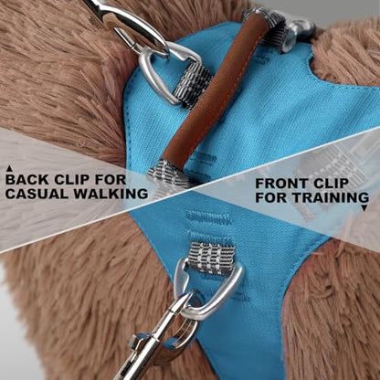 No Pull Dog Harness – Adjustable Reflective Nylon Vest for Small Medium Large Dogs, Escape Proof Training Harness with Leather Control Handle, Lightweight Aluminum Hardware (Cyan, XL) - color: Cyan, size: XL