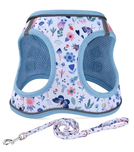 Step in Dog Harness and Leash Set, Reflective Adjustable No Pull Dog Harness for Small Medium Dogs Puppy and Cats, Soft Padded Mesh Vest Harnesses for Girl and Boy Pets(Cute Insect,M) - color: Insect, size: M-Chest:17.3-18.9inch