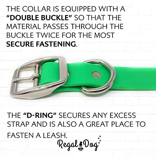 Regal Dog Products Small Light Green Waterproof Dog Collars with Custom Engraved Name Plate | Vinyl Coated, Easy to Clean Personalized Biothane Dog Collar - Other Sizes for Medium & Large Dogs - color: Light Green, size: Small Collar