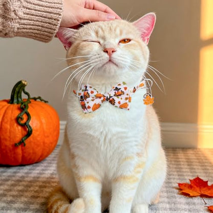 SCENEREAL Fall Thanksgiving Cat Bandana Collar with Bell Bowtie - 2 Pack Breakaway Kitten Collars, Adjustable Cute Pet Accessories for Cats and Small Dogs - color: Bandanas & Bow (Thanksgiving Print)