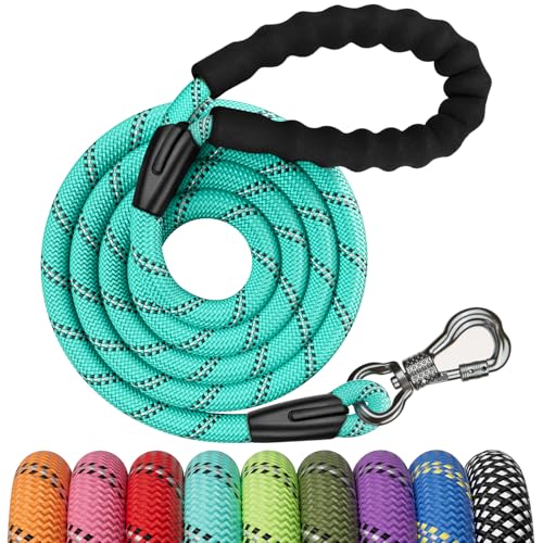 NTR 6FT Heavy Duty Dog Leash, Teal Rope with Swivel Lockable Hook and Comfortable Padded Handle, Cat & Dog Leash for Small to Large Dogs, Training, Playing, Camping, or Backyard - color: Teal, size: 6ft*1/2"