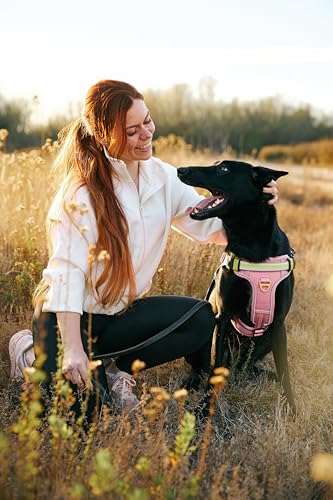 Lumi One LED Dog Harness for Night Visibility and Safety, Patent Pending – Light-Up Dog Vest, Reflective, Adjustable, Rechargeable, Durable, High-Visibility Pet Gear (Pink, Medium) - color: Pink, size: Medium