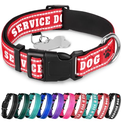 TECEUM Reflective Pet Collar – Red - Service Dog – M – Extra Soft Padding – Basic Nylon Dog Collar – Quick Release Buckle – Fits Small, Medium and Large Dogs, Puppies, Cats - color: Red - Service Dog, size: Medium