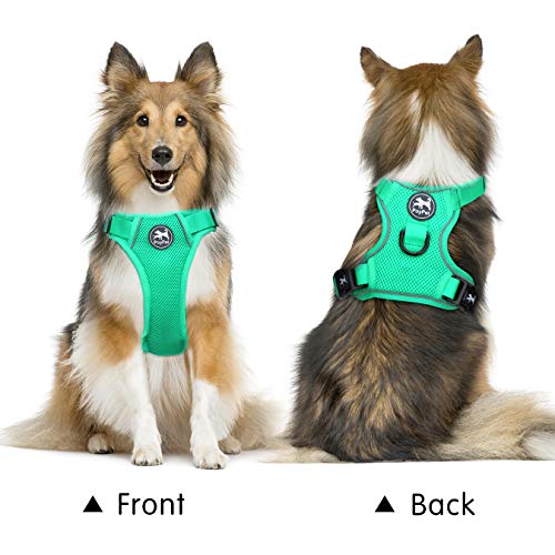 PoyPet Reflective Soft Breathable Mesh Dog Harness Choke-Free Double Padded Vest with Adjustable Neck and Chest(Mint Green,S) - color: Mint Green, size: S