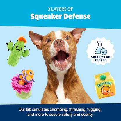 Barkbox Play Hatch Rubber Tennis Balls for Dogs & Puppies | Trio of Squeaky Fetch Balls for Bounce, Chase & Play | Durable, Engaging & Fun for Playful Pups - color: Play Hatch