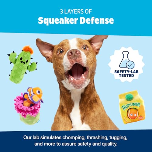 Barkbox Ballscoti Cookies Rubber Tennis Balls for Dogs & Puppies | Italian-Inspired Trio of Squeaky Fetch Balls for Bounce, Chase & Play | Durable, Engaging & Fun for Playful Pups - color: Ballscoti