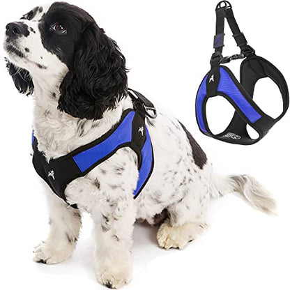 Gooby - Escape Free Easy Fit Harness, Small Dog Step-In Harness for Dogs that Like to Escape Their Harness, Blue, X-Small - color: Blue, size: X-Small chest (15~17.25")