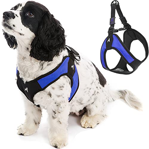 Gooby Escape Free Easy Fit Harness - Blue, Medium - No Pull Step-in Patented Small Dog Harness with Quick Release Buckle - Perfect On The Go No Pull Harness for Small Dogs or Medium Dog Harness - color: Blue, size: Medium chest (18~21.75")