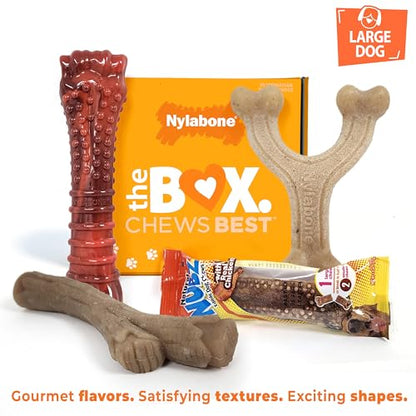 Nylabone Dog Gift Box, Includes 3 Strong Chew Toys and 1 Natural Treat, Gifts for Dogs, Large - Up to 50 lbs, 4 Pack - size: Large (4 Count)