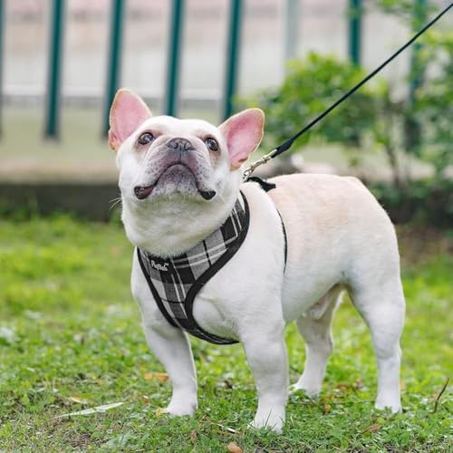 PUPTECK Soft Mesh Dog Harness and Leash Set Pet Puppy Cat Comfort Padded Vest No Pull Harnesses, Black&White, XS - color: Black&White, size: XS (NECK: 10", CHEST: 10"-14")