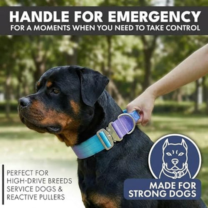 Spark Paws Tactical Dog Collar - Heavy Duty, Premium Quality, Thick and Durable for Large and Medium Dogs - 90's Retro - M - color: 90s Retro, size: M: 18"-22" [2" wide]