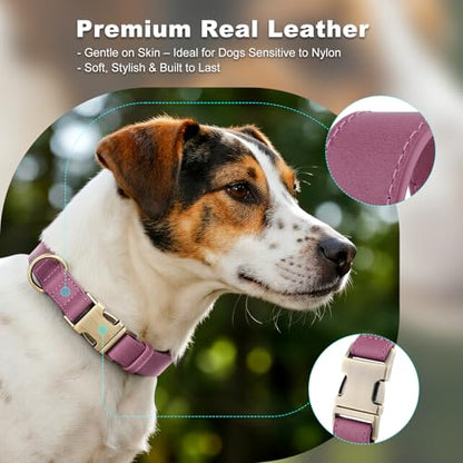 Plutus Pet Genuine Leather Dog Collar – Adjustable Pet Collar with Quick Release Metal Buckle, Soft Real Leather for Small Medium Large Dogs, Heavy Duty & Skin-Friendly (Purple, XS) - color: Purple, size: XS