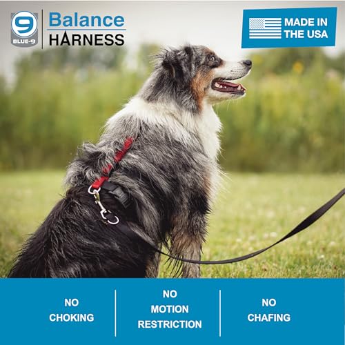 Blue-9 Buckle-Neck Balance Harness, Fully Customizable Fit No-Pull Harness, Ideal for Dog Training and Obedience, Made in The USA, Blue, Medium - color: Blue, size: M (Ribcage: 21"-32")