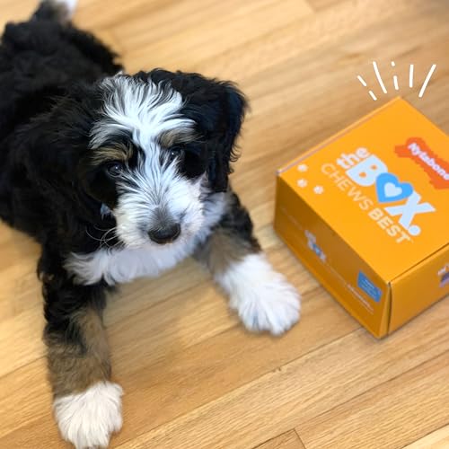 Nylabone Puppy Gift Box, Includes 3 Strong Puppy Chew Toys and 1 Natural Treat Bone for Puppies, Gifts for Puppies, Small Dogs - Up to 25 lbs., 4 Pack - size: Puppy (4 Count)