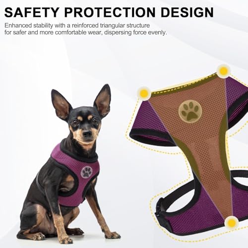BINGPET Small Dog Harness, No Pull Dog Harness Small Sized Dogs, Soft Light Breathable Mesh Puppy Vest with Safety Buckle-Adjustable Step in Pet Harnesses for Easy Walking, Running, Training - color: Purple, size: S (NECK: 12", CHEST: 14"-18")