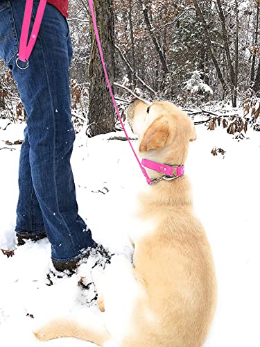 Regal Dog Products Waterproof Leash – 5 ft. Pink Dog Leash with Easy to Use Collar Hook, Lightweight, and Proof Training Pet Lead with Vinyl-Coated Webbing for Small, Medium, Large, or XL Dogs - color: Pink