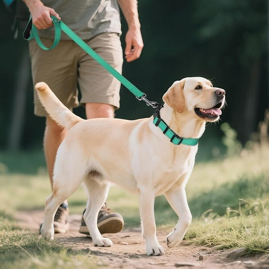 Reflective Dog Collar,Soft Neoprene Padded Breathable Nylon Pet Collar Adjustable for Large Dogs,Teal, L - color: Teal