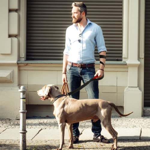 Heavy Duty Dog Leash with 2 Handles - 5FT Reflective Anti-Pull Training Lead for Medium & Large Dogs, Double Handle Leash with Padded Grip, Durable Nylon Pet Leash (Blue) by [CHENEDY] - color: Blue, size: 60 Inch\5FT