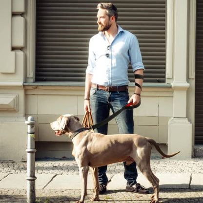 Heavy Duty Dog Leash with 2 Handles - 5FT Reflective Anti-Pull Training Lead for Medium & Large Dogs, Double Handle Leash with Padded Grip, Durable Nylon Pet Leash (Blue) by [CHENEDY] - color: Blue, size: 60 Inch\5FT