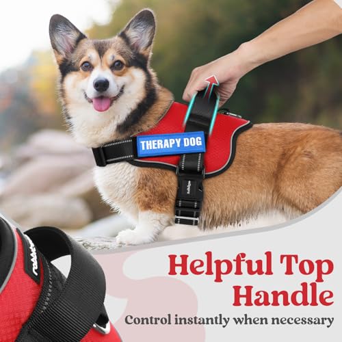 rabbitgoo Dog Harness Medium Sized, Easy On Pet Vest with One Buckle, No Pull Adjustable Service Harness with D-Ring & Handle, Reflective for Safety Walking, Training, Red, M - color: Red, size: Medium