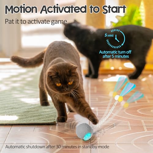 Interactive Cat Toys Ball for Indoor Cats, Automatic Moving Ball Toy with Elastic Mesh Tail, Chirping & Obstacle Avoidance and Motion Activated, Grey【Rechargeable】 - color: Grey