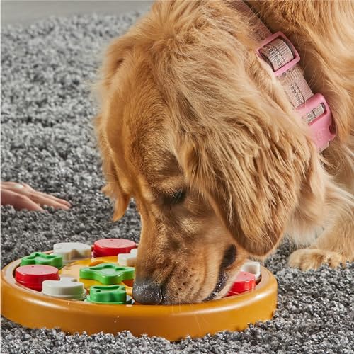 Brightkins Pizza Party! Treat Puzzle - Interactive Dog Toys, Dog Puzzle Toy and Slow Feeder, Enrichment Feeder for Dogs and Cats, Puppy Toys to Keep Them Busy, Cat Enrichment Puzzles - size: (Pack of 1)