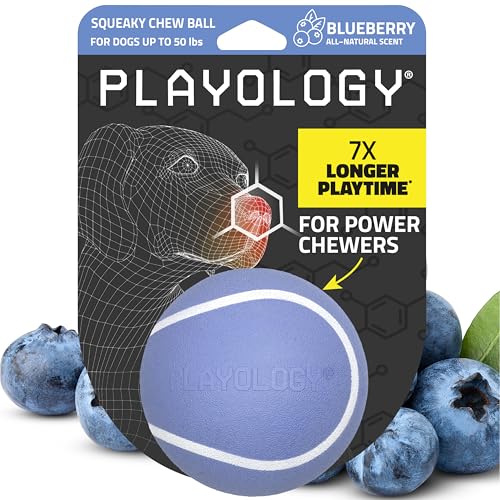 Playology Dog Toys | Squeaky Chew Ball - Bouncy Durable Floating Fetch Ball for Dogs | Medium Blueberry Scented Toy - Easy to Clean and Made from Non Toxic Materials - size: Medium, style: Blueberry
