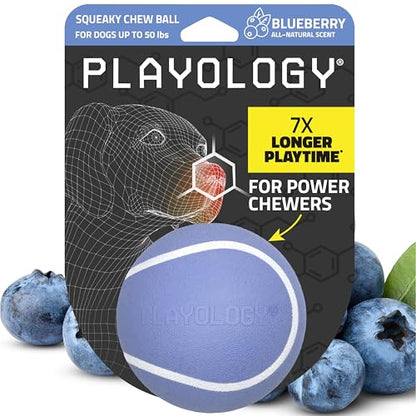 Playology Dog Toys | Squeaky Chew Ball - Bouncy Durable Floating Fetch Ball for Dogs | Medium Blueberry Scented Toy - Easy to Clean and Made from Non Toxic Materials - size: Medium, style: Blueberry