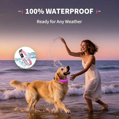 Dog Light up Collar for Night Walking - High Visibility LED Dog Collar - Rechargeable - Waterproof - Reflective - Adjustable Lighted Glow Collars(Pink, Large) - color: Pink, size: Large (18" - 23")
