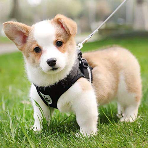 Dog Harness and Leash Set for Walking, Soft Mesh Adjustable Easy Control Lightweight Cat Vest Harnesses with Reflective Strips, Escape Proof Small Dogs Cats Vests (Black, Large) - color: Black, size: Large