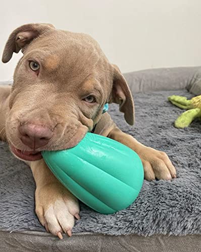 Chew King by Mammoth Premium Treat Dispensing Dog Toy, Durable Natural Rubber Chew Toy, Safety Air Vent, Interactive Enrichment Toy for Aggressive Chewers, Medium Pack of 2- Teal