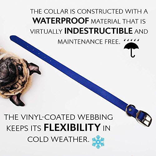 Regal Dog Products Medium Blue Waterproof Dog Collars with Custom Engraved Name Plate | Vinyl Coated, Anti, Easy to Clean Personalized Biothane Dog Collar - Other Sizes for Small & Large Dogs - color: Blue, size: Medium Collar