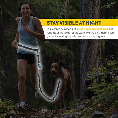Tuff Mutt Hands-Free Waist Leash for Dog Walking, Running and Hiking, Carabiner Clip, Adjustable Belt with Double Handle, Reflective Bungee Design for Large & Medium Dogs - color: Carabiner/Gray