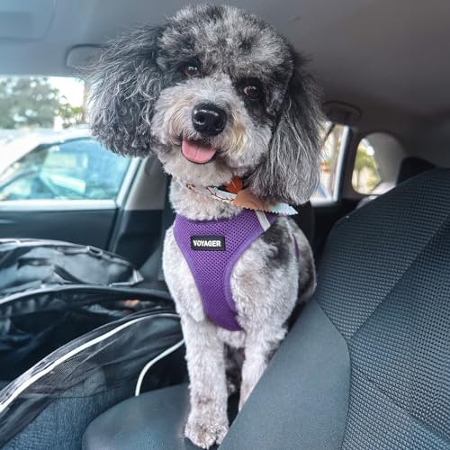 Best Pet Supplies Voyager Step-in Air Harness - All Weather Mesh, Reflective, No Pull Harness for Dogs, Cats - Secure with Hook & Loop Fastener, Buckle, Double D-Rings - Purple, XS