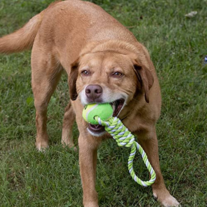 2 Piece Dog Training Ball on Rope, Cotton Rope Ball, Tug Ball Toy, Tough Rope Toy, Non-Toxic and Durable Dog Toys for Big and Small Dogs…