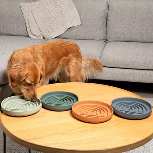 Should We Go? Slow Feeder for Dogs & Puppies, The Slowdown Bowl Silicone Slow Eating, Modern Lick Mat Design, Reduces Gulping, Fits 2.5 Cups, 9.5” Across x 1.5” Tall, Mealtime Challenge, Large-Sage - color: Sage - Rainbow Design, size: Large (9.5” Across