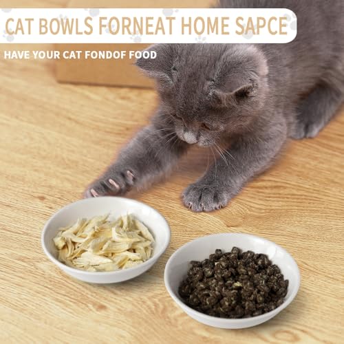 HAPPY KIT 2pcs Little Cat Bowls,5Inch Cat Food Bowl for Indoor Cats,Cute Kittens Plate/Dish/Dishes Set with Non-Slip Relief of Whisker Fatigue for Kitten - Microwave and Dishwasher Safe - color: Kitten pattern