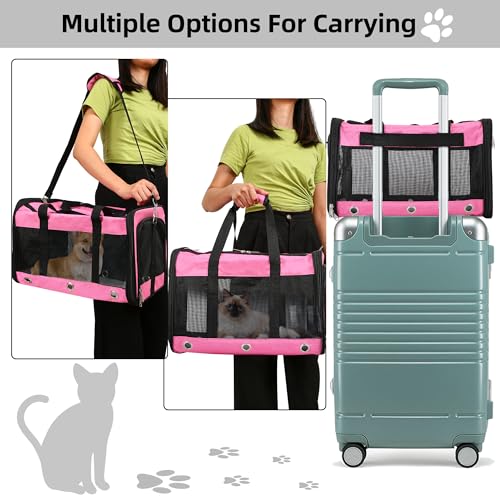 Soft Sided Cat/Dog Carrier,Collapsible Pets Travel Carriers for Pet/Puppy with Shoulder Strap & Removable Mat,Mesh Top Load Small Dogs/Cats Carry Bag Up to 17 Lbs TSA Airline Approved（Pink,M） - size: M Pink