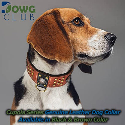 Genuine Leather ‘Cupola’ Series Dog Collar | Celtic Conchos & Gold Dome Rivets | Soft, Cushion Padding, Handmade | Best for Medium, Large, XL Breeds (M (Neck Size 14.5"-18.5"), Sable Black) - color: Sable Black, size: M (Neck Size 14.5"-18.5")