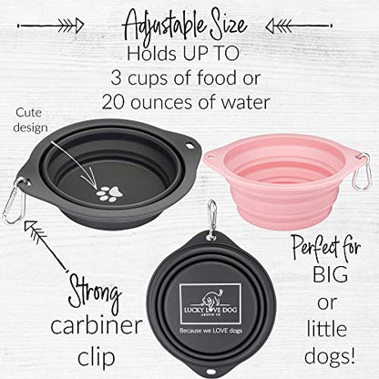 Lucky Love Dog, Collapsible Dog Bowl Compact Travel Water Dog Dish, Steel - color: Steel