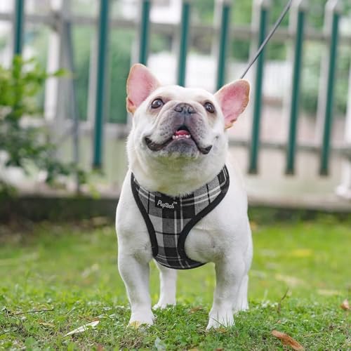 PUPTECK Soft Mesh Dog Harness and Leash Set Pet Puppy Cat Comfort Padded Vest No Pull Harnesses, Black&White, XS - color: Black&White, size: XS (NECK: 10", CHEST: 10"-14")