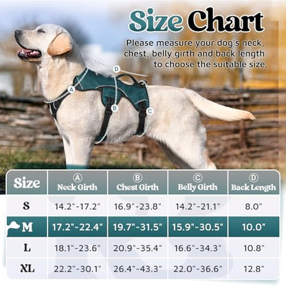 rabbitgoo Escape Proof Dog Harness Medium, Soft Padded Full Body Pet Harness, Reflective Adjustable No Pull Vest with Lift Handle and Leash Clip for Walking Hiking Training, Dark Green, M - color: Dark Green, size: Medium (Pack of 1)