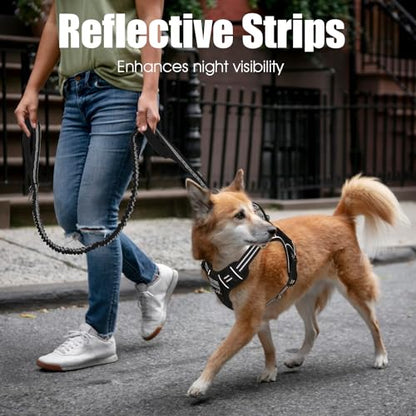 BUMBIN 6Ft Bungee Leash With 2 Handles for Large, Medium, Small Dogs - Heavy Duty, No Pull Shock Absorbing With Car Seat Belt for Training, Black - color: Black