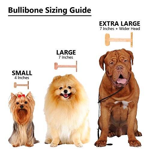 Bullibone Nylon Dog Chew Toy for Aggressive Chewers - Dental Hygiene Bone with Peanut Butter Flavor, Durable Tough Chew Toys for Small Dogs, Indestructible Dog Bone - Single - size: Small - Single