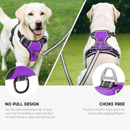 Dog Harness Small Sized, No Pull with Neck Lockable Snap,No Choke Front Clip Dog Reflective Harness,Adjustable Metal Rings 3 Buckles,Easy Control Handle for Small Dogs Purple S - color: Lock Purple, size: Small (Pack of 1)