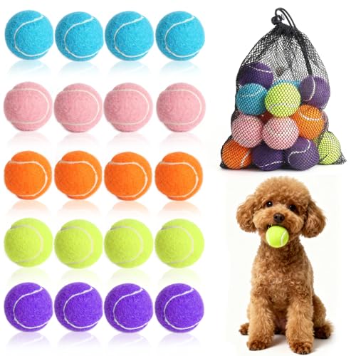 20 Pack Tennis Balls for Dogs, 2 inch Dog Toy Ball with Mesh Bag, Small Tennis Balls Pet Dog Playing Ball for Pet Puppy (5 Color)