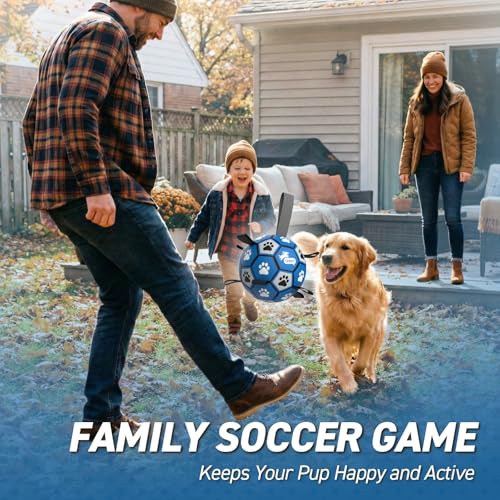 QDAN Dog Ropes Toys, Soccer Ball with Straps, Puppy Birthday Gifts, Durable Balls for Medium Large Dogs-Blue&Grey（8 Inch） - color: Blue Gray, size: Large Size 3 (8")
