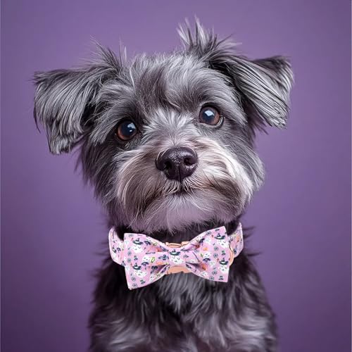 Halloween Dog Collar with Bow Tie - Cute Purple Wizard Ghost Dog Collars, Adjustable Metal Buckle Bowtie Collar for Small Medium Large Boy Girl Dogs XS - color: B-Wizard Ghost, size: XS