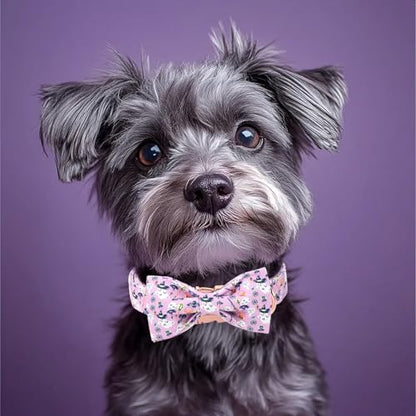 Halloween Dog Collar with Bow Tie - Cute Purple Wizard Ghost Dog Collars, Adjustable Metal Buckle Bowtie Collar for Small Medium Large Boy Girl Dogs XS - color: B-Wizard Ghost, size: XS