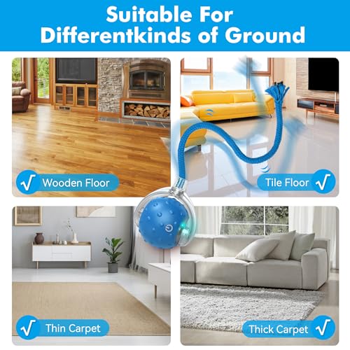 Interactive Cat Ball Toy for Indoor Cats – Fast Rolling on Carpets, Motion Activated with Chirping Sounds, Enrichment Play for Active & Bored Cats